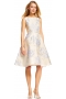 Rochie Adrianna Papell